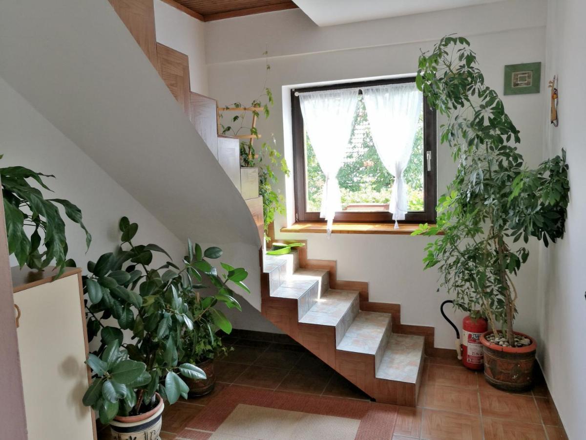 Villa House Marica à Poljanak Extérieur photo